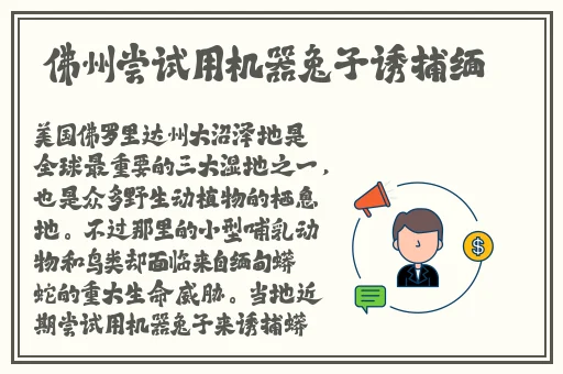国产乱人伦精品一区二区